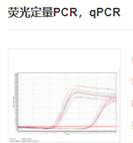 熒光定量PCR，qPCR實驗服務